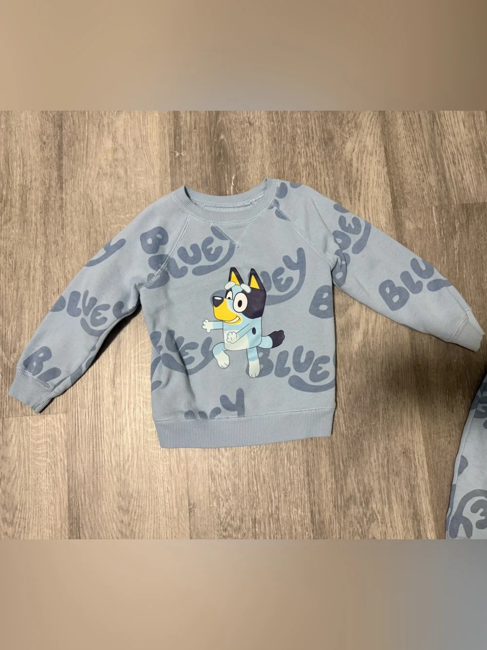 Bluey Toddler Play Set